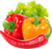 ÜLKER İKRAM ÇİKOLATALI BÜSK.84 Gr x 24 Ad