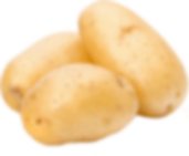 ÜLKER  PETİBÖR  450 gr x 10 Ad